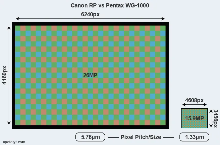 RP versus WG-1000 MP