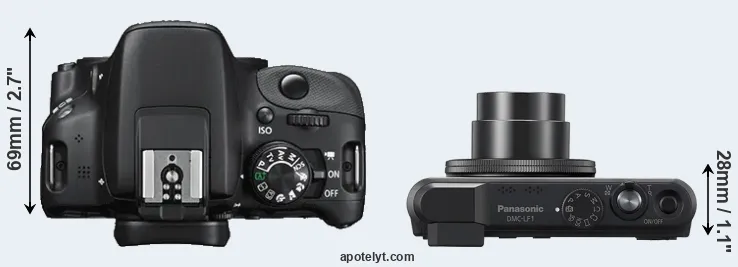 Compare SL1 versus LF1 top