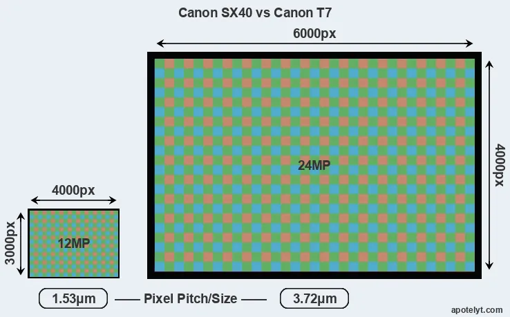 SX40 versus T7 MP