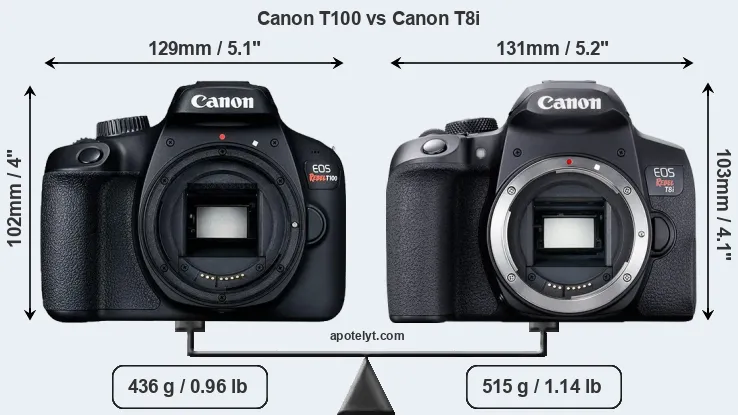 Size Canon T100 vs Canon T8i