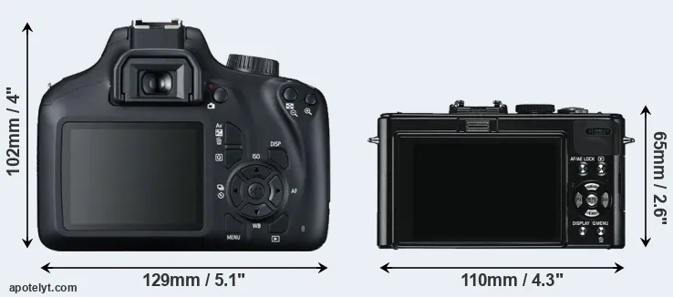 Comparison T100 or D-LUX 5 rear