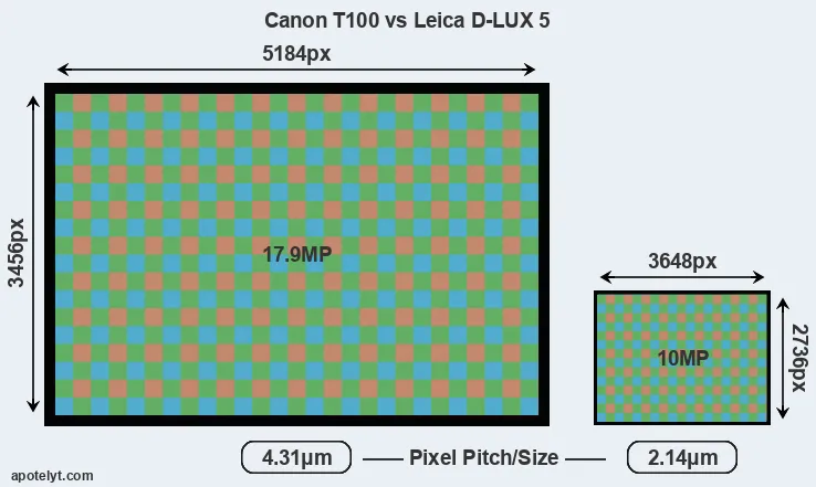 T100 versus D-LUX 5 MP
