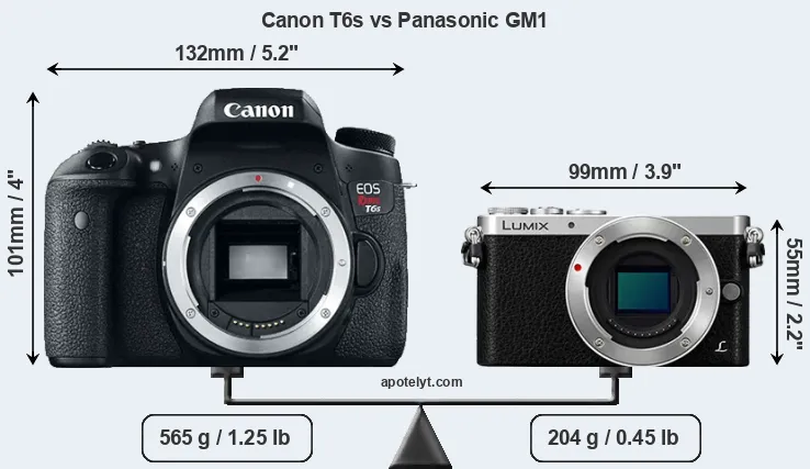 Size Canon T6s vs Panasonic GM1