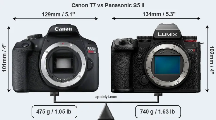 Size Canon T7 vs Panasonic S5 II