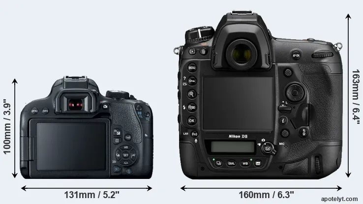 Comparison T7i or D6 rear