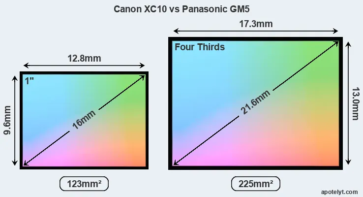 Canon XC10 and Panasonic GM5 sensor measures