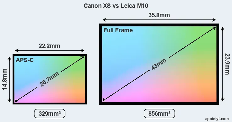 Canon XS and Leica M10 sensor measures