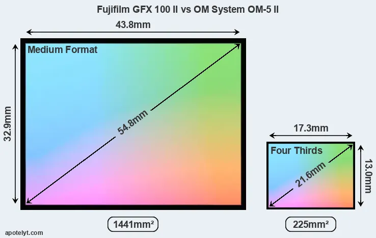 Fujifilm GFX 100 II and OM System OM-5 II sensor measures