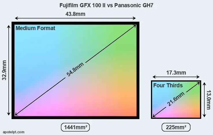 Fujifilm GFX 100 II and Panasonic GH7 sensor measures