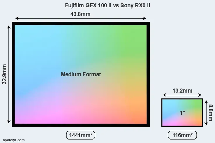 Fujifilm GFX 100 II and Sony RX0 II sensor measures