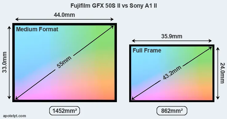 Fujifilm GFX 50S II and Sony A1 II sensor measures