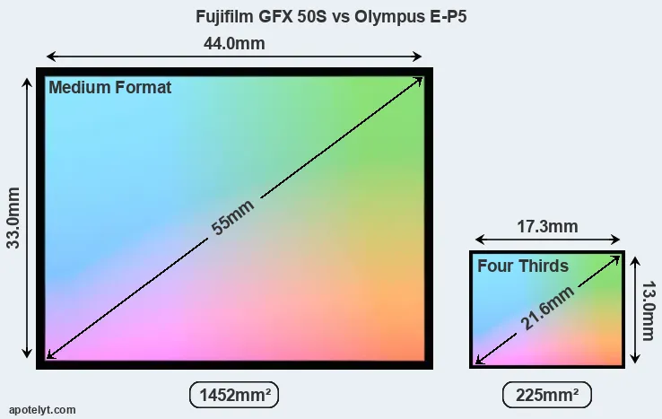 Fujifilm GFX 50S and Olympus E-P5 sensor measures
