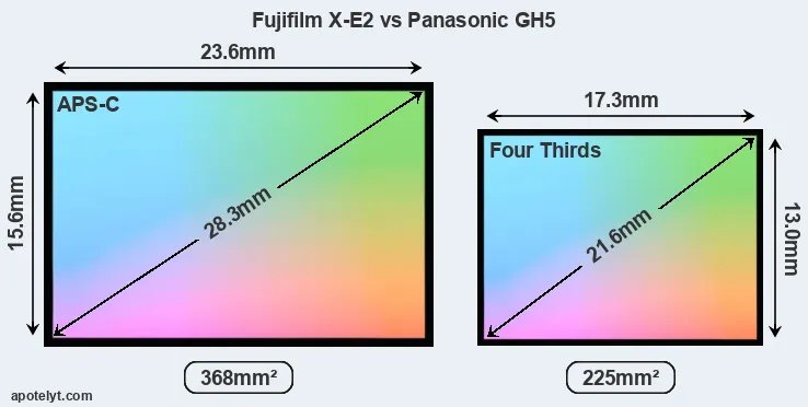 Fujifilm X-E2 and Panasonic GH5 sensor measures