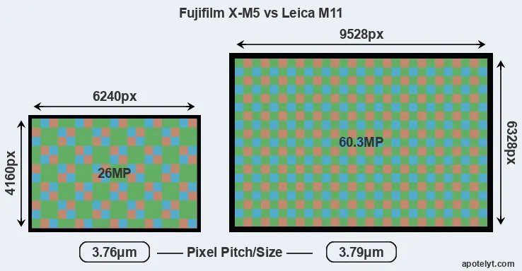 X-M5 versus M11 MP