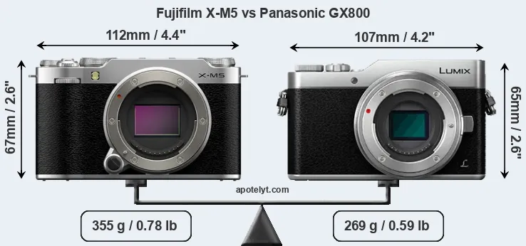 Fujifilm X-M5 vs Panasonic GX800 Comparison Review