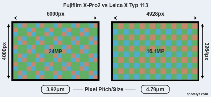 X-Pro2 versus X Typ 113 MP