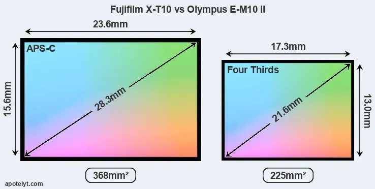 Fujifilm X-T10 and Olympus E-M10 II sensor measures