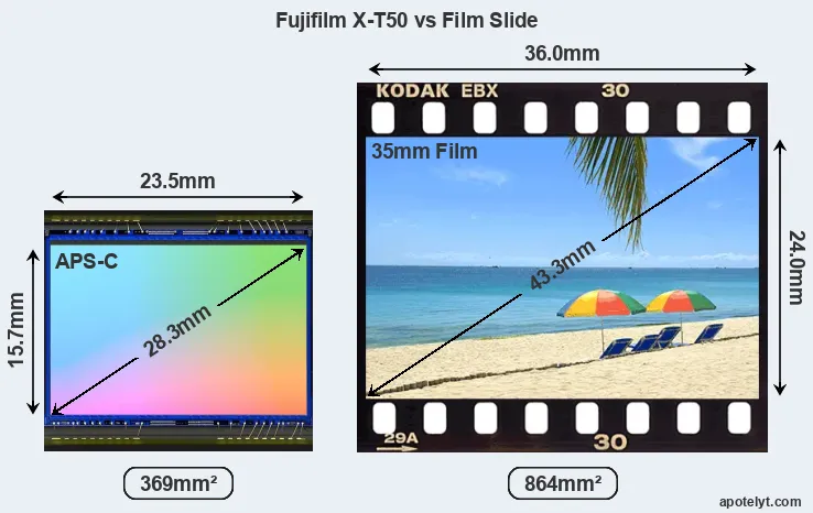 Fujifilm X-T50 sensor measures