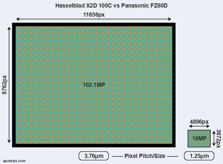 X2D 100C versus FZ80D MP