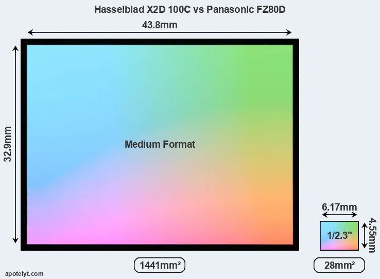 Hasselblad X2D 100C and Panasonic FZ80D sensor measures