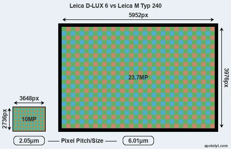 D-LUX 6 versus M Typ 240 MP