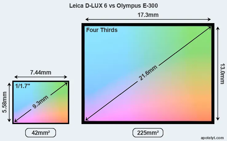 Leica D-LUX 6 and Olympus E-300 sensor measures