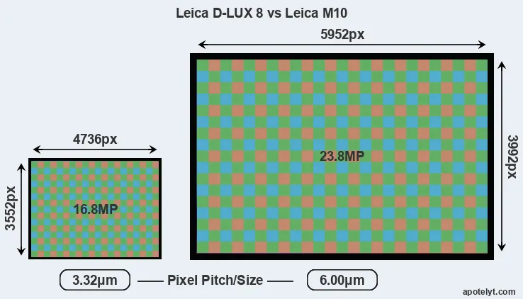 D-LUX 8 versus M10 MP