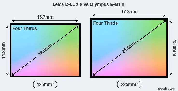 Leica D-LUX 8 and Olympus E-M1 III sensor measures