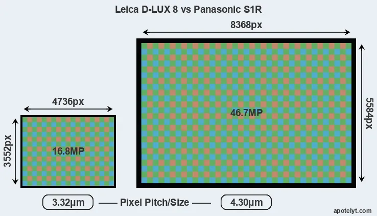D-LUX 8 versus S1R MP