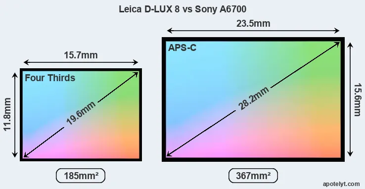 Leica D-LUX 8 and Sony A6700 sensor measures