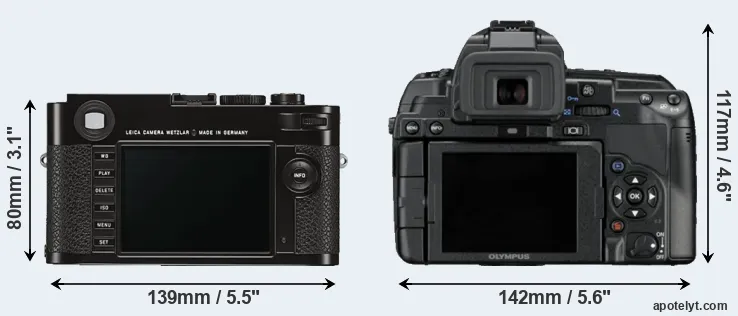 Comparison M Typ 262 or E-5 rear