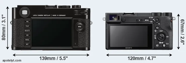 Comparison M Typ 262 or A6500 rear