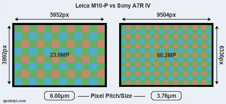 M10-P versus A7R IV MP
