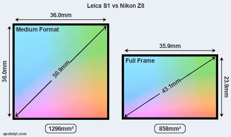 Leica S1 and Nikon Z8 sensor measures