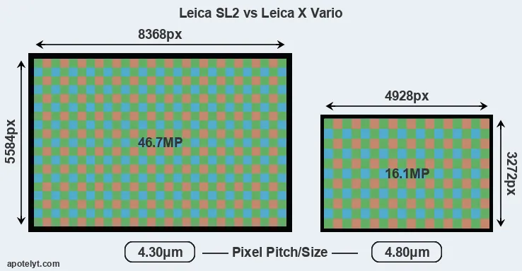 Leica SL2 versus X Vario MP