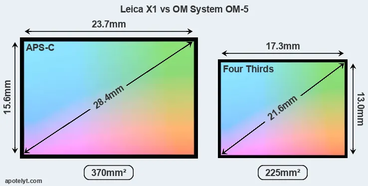 Leica X1 and OM System OM-5 sensor measures