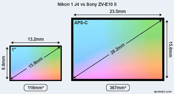 Nikon 1 J4 and Sony ZV-E10 II sensor measures