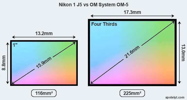 Nikon 1 J5 and OM System OM-5 sensor measures