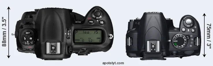 Nikon D3 vs Nikon D3100 Comparison Review