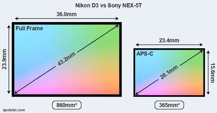 Nikon D3 and Sony NEX-5T sensor measures