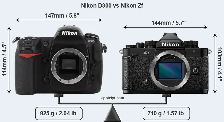 Size Nikon D300 vs Nikon Zf