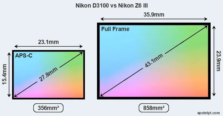 Nikon D3100 and Nikon Z6 III sensor measures