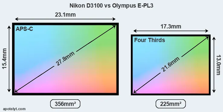 Nikon D3100 and Olympus E-PL3 sensor measures