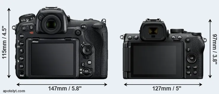 Comparison D500 or Z50 II rear