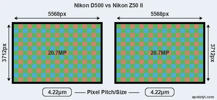 D500 versus Z50 II MP