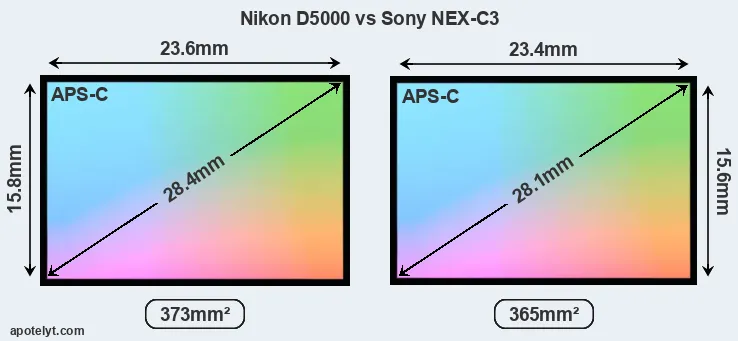 Nikon D5000 and Sony NEX-C3 sensor measures