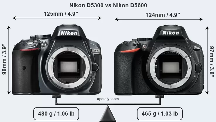 Nikon D5300 Review