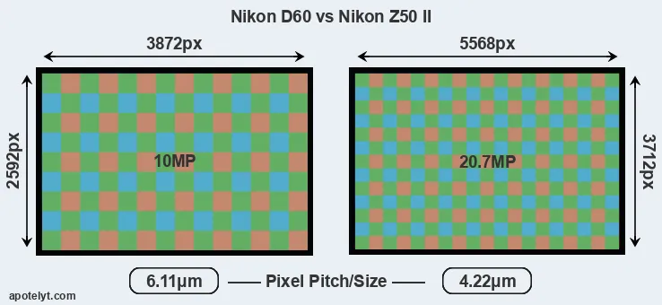 D60 versus Z50 II MP