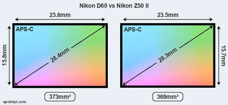 Nikon D60 and Nikon Z50 II sensor measures