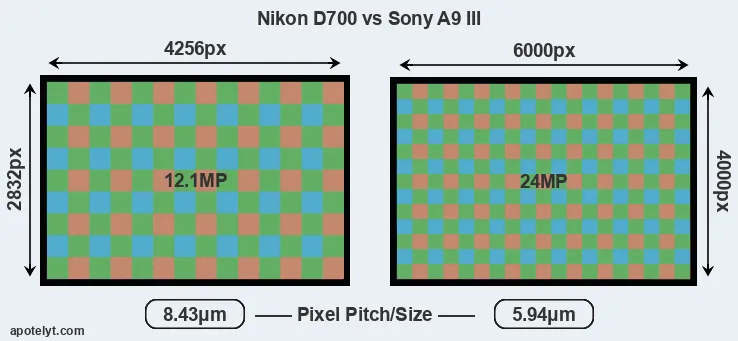 D700 versus A9 III MP